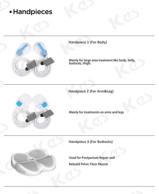 CE Approved Vertical EMS Machine For Muscle Building And Fat Reducing