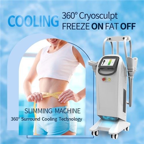 360 Cryolipolysis Slimming Machine